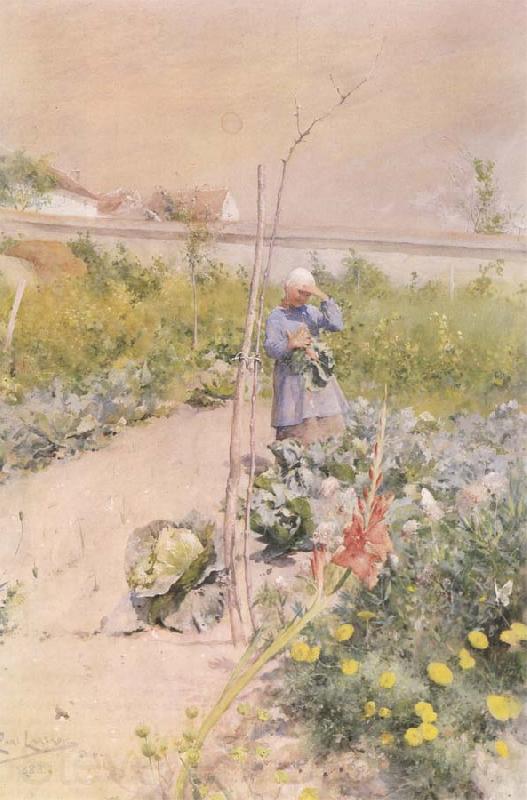 Carl Larsson In the Kitchen Garden France oil painting art